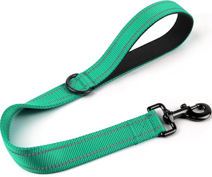 Joytale Short Dog Leash for Close Control & Training, 24", Teal | Padded Comfort Handle, Reinforced Nylon Webbing, Secure Metal Clip, for Busy Streets & Heel Training