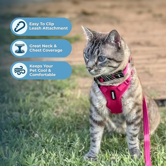 Voyager Escape-Proof Step-in Lock Cat Harness & 5ft Neoprene-Handle Leash Set All-Weather Mesh with Reflective Stitching for Small to Large Cats by Best Pet Supplies, Fuchsia, S