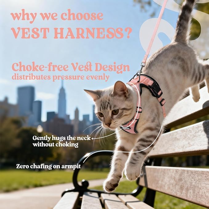 rabbitgoo Cat Harness and Leash Set, Escape Proof Vest, Light Salmon Pink | Soft Breathable Mesh, Easy Adjustable Fit, Snap Buckles, Sturdy Clip, Reflective Strips, for Medium to Large Cats Walks, M