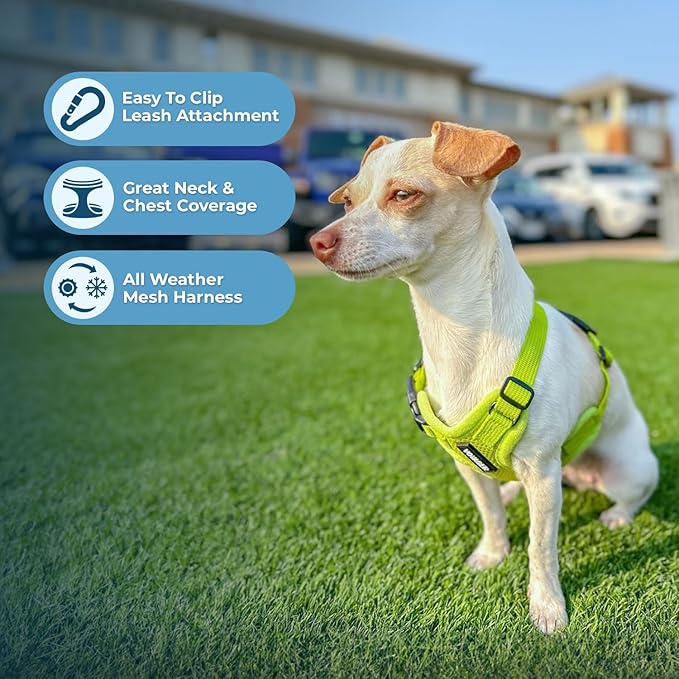 Best Pet Supplies Voyager Step-in Air All Weather Mesh Harness and Reflective Dog 5ft Leash Combo with Neoprene Handle, for Small, Medium and Large Breed Puppies - Lime Green, XX-Small