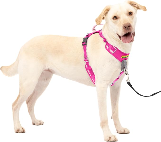 PetSafe Easy Walk Comfort No Pull Dog Harness, Pink, Large | Stops Pulling on First Use with Front Martingale Loop, Full-Body Padding, 5-Point Adjustable Fit