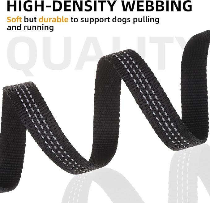 PUPTECK Dog Harness and Leash Set