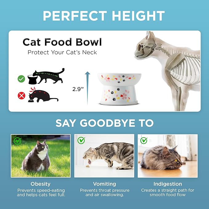 Necoichi Raised Cat Food Bowl – Ceramic Elevated Cat Bowl for Whisker & Neck Fatigue, Dishwasher Microwave Safe – Non-Slip & Anti Vomiting Ergonomic Design (Sakura Floral, Regular, 1-Cup Capacity)