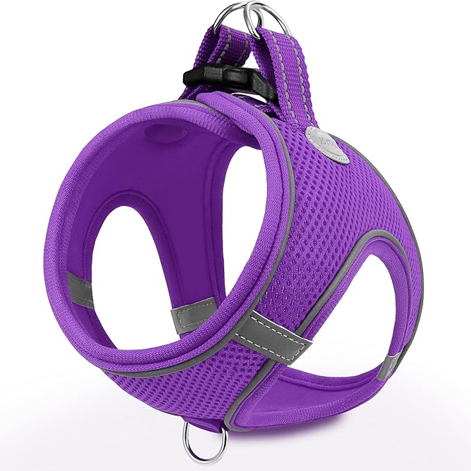Joytale Step-in Dog Harness, Soft Breathable Mesh, Purple L | Adjustable Fit for Small Dogs, Easy Step-in with Secure Fastener, Even Chest Pressure, Reflective For Night Safety, Washable