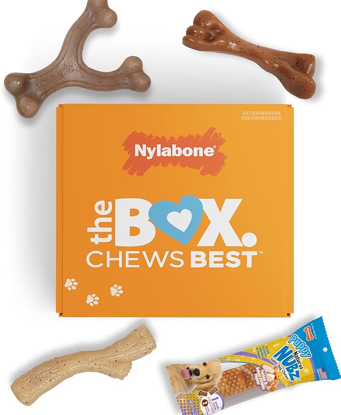 Nylabone Puppy Gift Box, Strong Chew Toys & Treat, Small, 4 Count | Flavor variety, 3 puppy toys & 1 natural treat dog bone, gifts for puppies, teething toys for small puppies up to 25 lbs