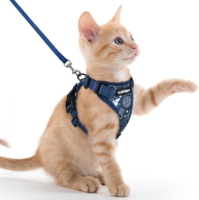 rabbitgoo Cat Harness and Leash Set, Escape Proof Vest, Cosmic Ace | Soft Breathable Mesh, Easy Adjustable Fit, Snap Buckles, Sturdy Clip, Reflective Strips, for Kittens & Small Cats Walks, Xxs