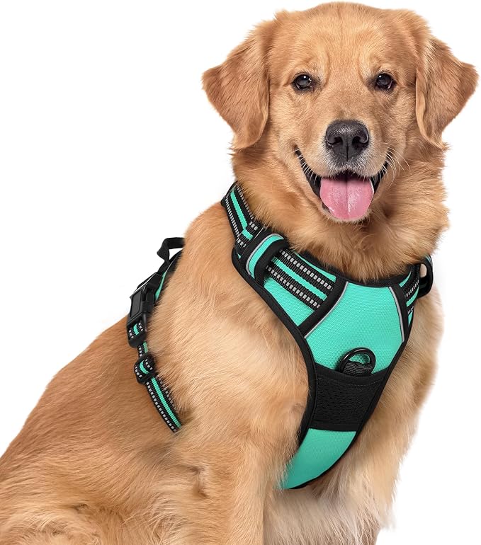 rabbitgoo Dog Harness, No Pull for Large Dogs with 2 Leash Clips, Pet Vest | No Choke with Handle, Adjustable Soft Padded, Reflective, Easy Control for Walking, Turquoise, X-Large
