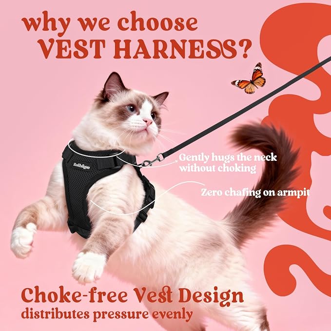 rabbitgoo Cat Harness and Leash Set, Escape Proof Vest, Black | Soft Breathable Mesh, Easy Adjustable Fit, Snap Buckles, Sturdy Clip, Reflective Strips, for Medium to Large Cats Walks, M