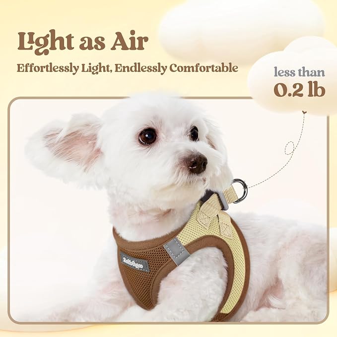 rabbitgoo Dog Harness Small Sized and Leash Set, Step-in Puppy Pet Vest | Light, Soft, Breathable Air Mesh, Easy on and Remove with Hook & Loop, Secure Reflective for Walking, Brown & Beige XXS