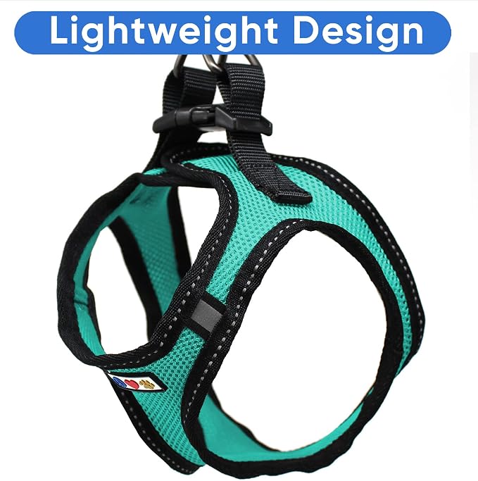 Pawtitas Reflective Mesh Puppy Dog Harness for Extra Extra Small Dogs – Adjustable | No Pull | Fits Neck 8 in Chest 12 in | XXS | Aquamarine