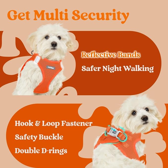 rabbitgoo Step-in Small Dog Harness, Puppy Vest for Small Sized Pet | Easy Put on and off, Lightweight, Soft, Breathable Quick-Dry Air Mesh for Comfortable Secure Walking, Orange XXS