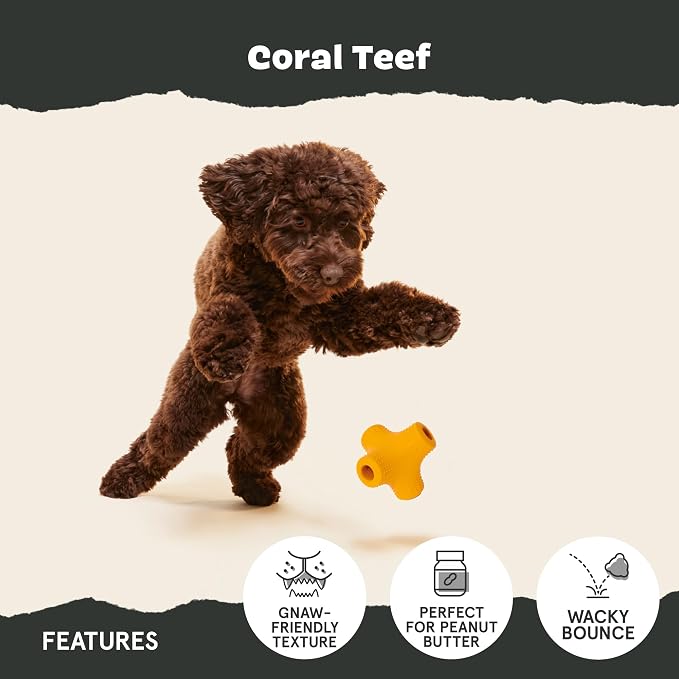BarkBox Coral Teef Dog Toy | Wacky Bounce | Dog Toy for Aggressive Chewers