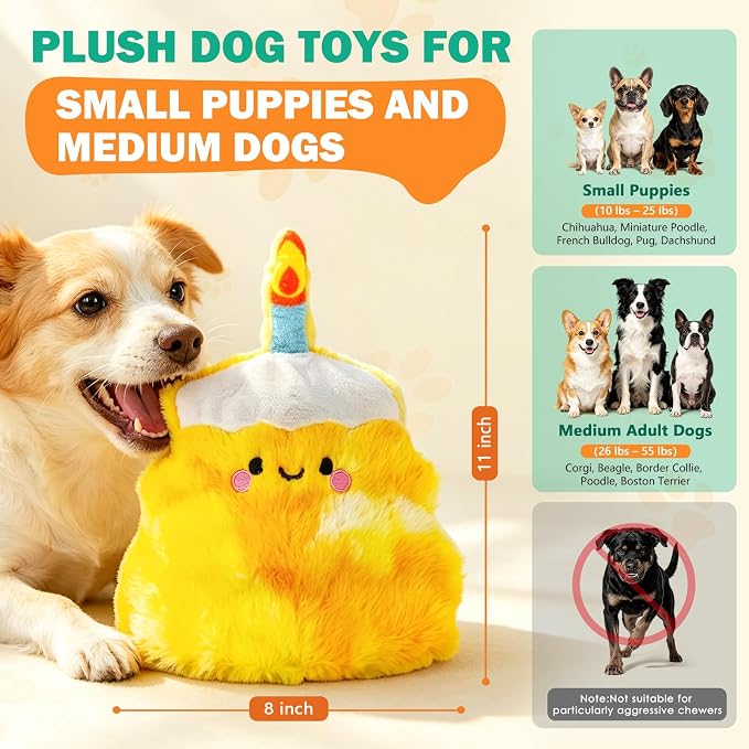 Fuufome Plush Cake Dog Toy | No Stuffing, Squeaky & Crinkle Interactive Puppy Chew Toy for Small Medium Dogs, Birthday Gift