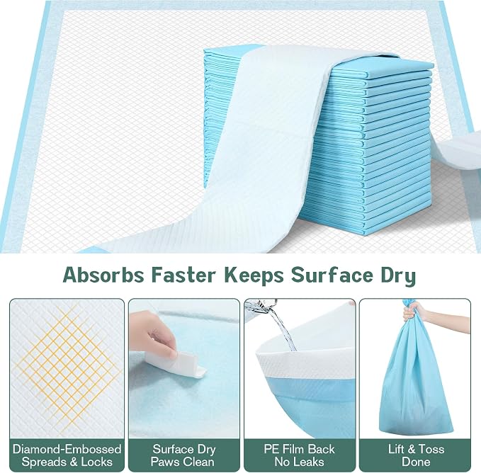 Large Puppy Pee Pads for Dogs 31" x 36" 60 Count, 6-Layer Leak-Proof XXL Dog Pee Pads Extra Large, Super Absorbent Quick-Dry Thick Disposable Potty Training Pads