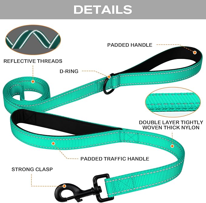 Joytale Dog Leash for Large Dogs that Pull, Double Handle, 6FT, Teal | Traffic Handle for Control, Padded Handle Reduces Hand Strain, Reflective Stitching for Night Safety, Strong Nylon Webbing