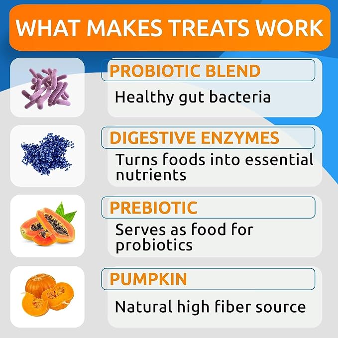 Allergy Relief + Probiotics & Digestive Enzymes for Dogs - Anti-Itch Skin & Coat Supplement - Omega 3 Fish Oil - Gut Health - Pet Diarrhea Gas Treatment, Upset Stomach Relief Pills, Digestion Health