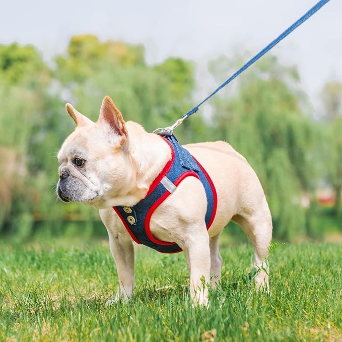 PUPTECK Dog Harness and Leash Set for Small Medium Dogs No Pull Step-in Soft Mesh Puppy Cat Vest Harnesses Reflective at Night, Denim NavyBlue M