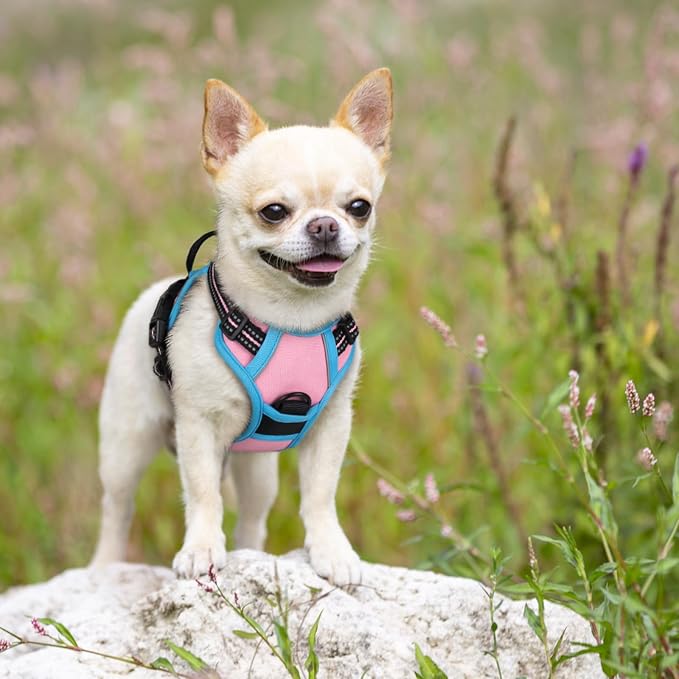 rabbitgoo Dog Harness, No Pull for Small Dogs with 2 Leash Clips, Pet Vest | No Choke with Handle, Adjustable Soft Padded, Reflective, Easy Control for Walking, Pink & Blue, X-Small