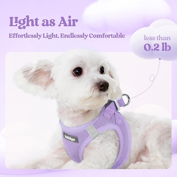 rabbitgoo Dog Harness Medium Sized and Leash Set, Step-in Puppy Pet Vest | Light, Soft, Breathable Air Mesh, Easy on and Remove with Hook & Loop, Secure Reflective for Walking, Light Purple XL