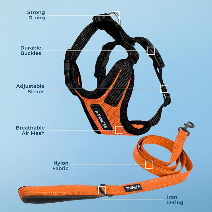 Best Pet Supplies Voyager Step-in Lock Pet Harness w Reflective Pet Leash Combo Set with Neoprene Handle 5ft - Supports Small, Medium and Large Breed Puppies/Cats - Orange/Black Trim Set, S