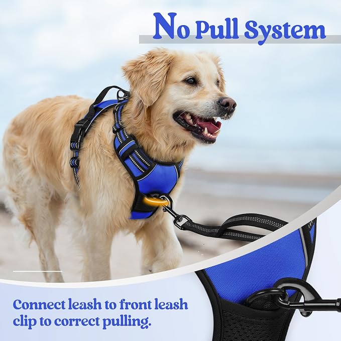 rabbitgoo Dog Harness, No Pull for Large Dogs with 2 Leash Clips, Pet Vest | No Choke with Handle, Adjustable Soft Padded, Reflective, Easy Control for Walking, Dazzling Blue, X-Large