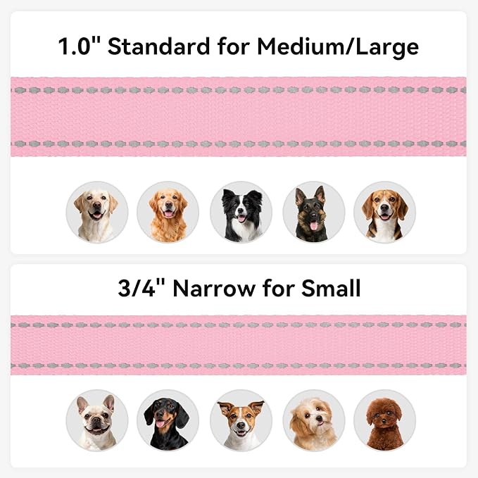 Joytale Reflective Dog Leash for Small Dogs, 5 FT x 3/4", Pink | Heavy Duty Nylon Webbing, Padded Handle for Comfort, Visible at Night, for Walking & Training