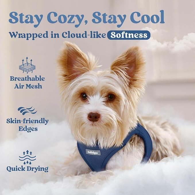 rabbitgoo Step-in Small Dog Harness, Puppy Vest for Small Sized Pet | Easy Put on and off, Lightweight, Soft, Breathable Quick-Dry Air Mesh for Comfortable Secure Walking, Navy Blue XXXS