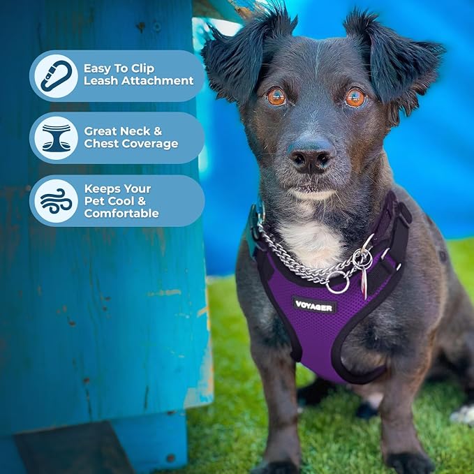 Best Pet Supplies Voyager Step-in Lock Pet Harness w Reflective Pet Leash Combo Set with Neoprene Handle 5ft - Supports Small, Medium and Large Breed Puppies/Cats - Purple/Black Trim, XL