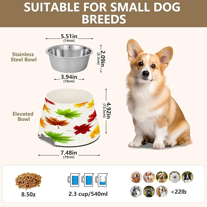 Blueangle Elevated Dog Bowls with Stainless Steel - Non-Slip 2.3 Cup High Capacity Pet Dish for Spinal Health & Bow Pumpkin Design（275）