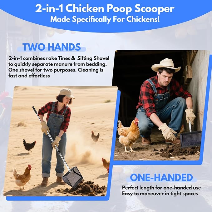 Chicken Poop Scooper Rake 2-in-1,304 Stainless Steel Shovel Head, Chicken Litter Scoop with Handle for Chicken Coop for Sand, Pet Waste Cleaning, Litter Sifting Shovel (35 to 65") (Black, 10inch)