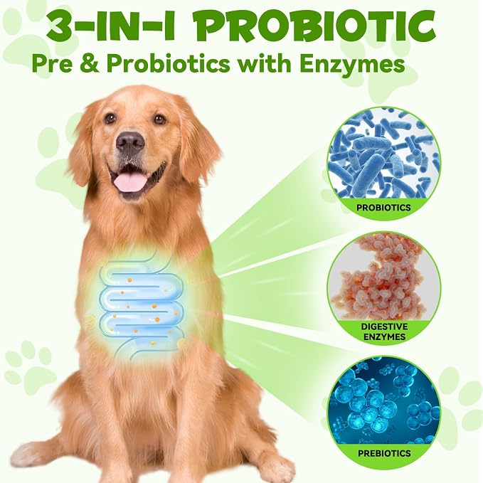 Oimmal Probiotics for Dogs, 3 in 1 Dog Probiotic and Digestive Enzymes for Pet, Supports Gut Health, Itchy Skin, Allergies, Immunity, Liquid Probiotics for for All Ages and Breeds Dogs, blue