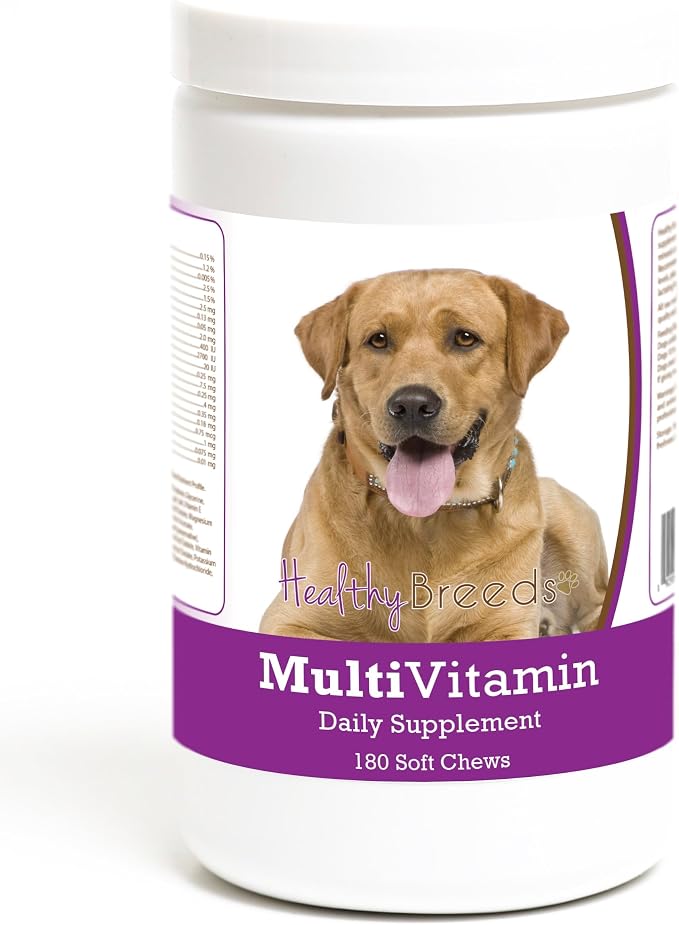 Healthy Breeds Labrador Retriever Multivitamin Soft Chew for Dogs 180 Count (11128-labs-002)