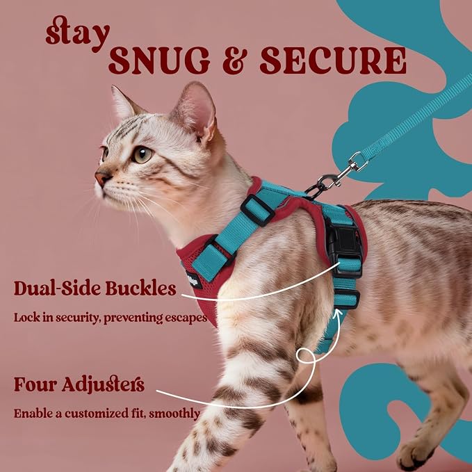rabbitgoo Cat Harness and Leash Set, Escape Proof Vest, Red & Teal | Soft Breathable Mesh, Easy Adjustable Fit, Snap Buckles, Sturdy Clip, Reflective Strips, for Medium to Large Cats Walks, M