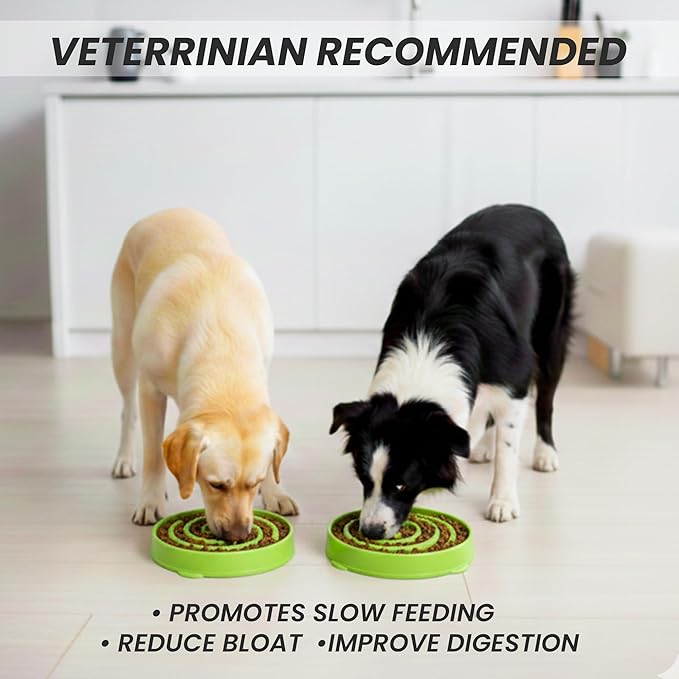 Slow Feeder Dog Bowl for Small, Medium & Large Dogs – Anti-Gulping Puzzle Maze Bowl, Non-Slip Slow Eating Dog Dish, Prevents Bloat & Improves Digestion, Interactive Pet Feeder (Green, Small)