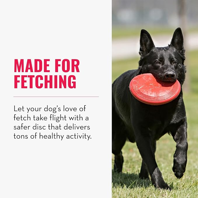 KONG Flyer - Durable Dog Toy for Outdoor Playtime - Natural Rubber Flying Disc, Dog Toy for Fetch - Safer Disc for Healthy Activity - for Small Dogs (Pack of 3)