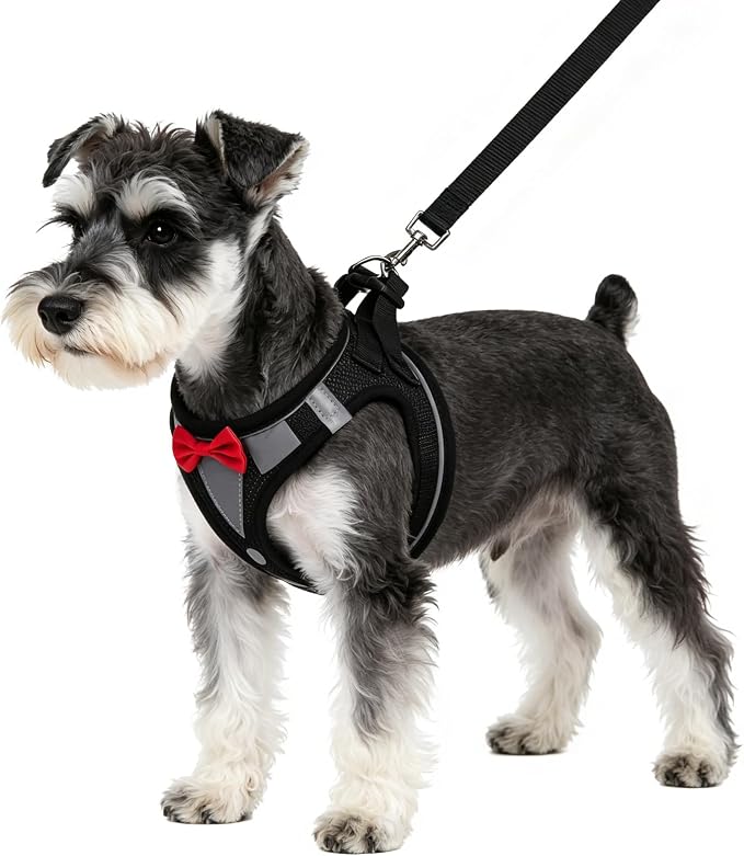 PUPTECK Dog Harness and Leash Set for Small Medium Dogs No Pull Step-in Soft Mesh Puppy Cat Vest Harnesses Reflective at Night, Black Bow Tie