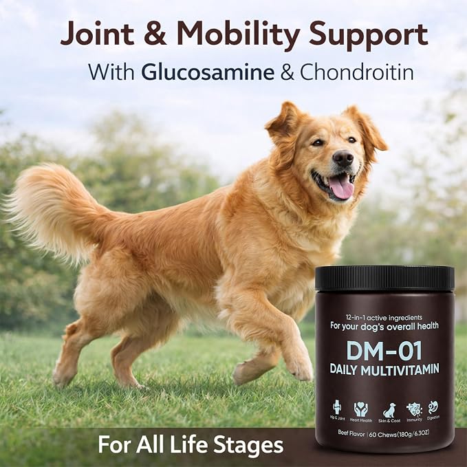 DM-01 Daily Multivitamin for Dogs, Dog Daily Multivitamin for Skin & Coat Health, Joint Support, Digestive Health, with Salmon Oil, Chondroitin, and Natural Vitamins, Beef Flavor, 60 Chews (1)