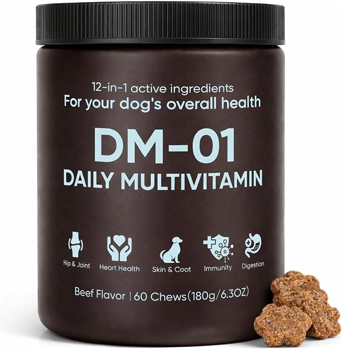 DM-01 Daily Multivitamin for Dogs, Dog Daily Multivitamin for Skin & Coat Health, Joint Support, Digestive Health, with Salmon Oil, Chondroitin, and Natural Vitamins, Beef Flavor, 60 Chews (1)