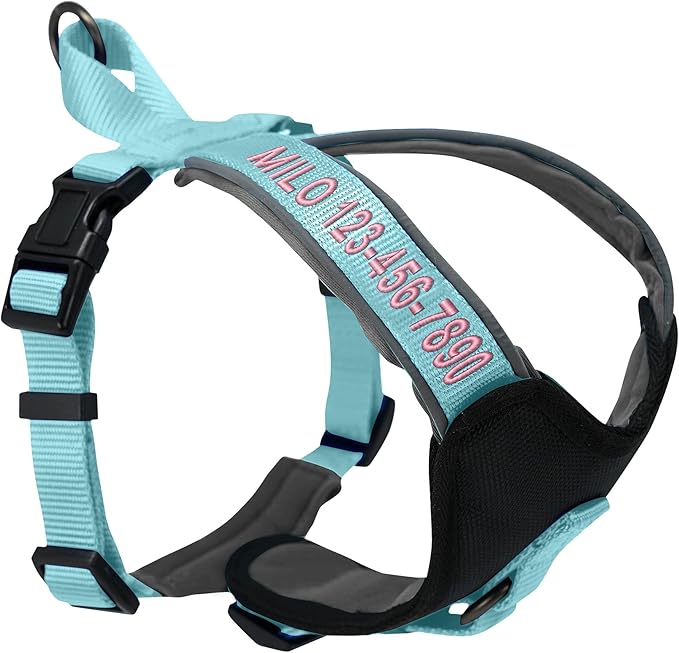 Pawtitas Reflective Padded Dog Harness for X-Small Dogs – Adjustable Puppy Step-in Vest | Fits Chest 14–18 in | No Pull Training Harness | XS | Teal