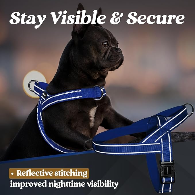 rabbitgoo Dog Harness No Pull, Quick Fit for Medium Sized Dog, Reflective | Chest Adjustable Pet Vest with Soft Padded Handle, No Choke Escape Proof for Walking Training, Blue M