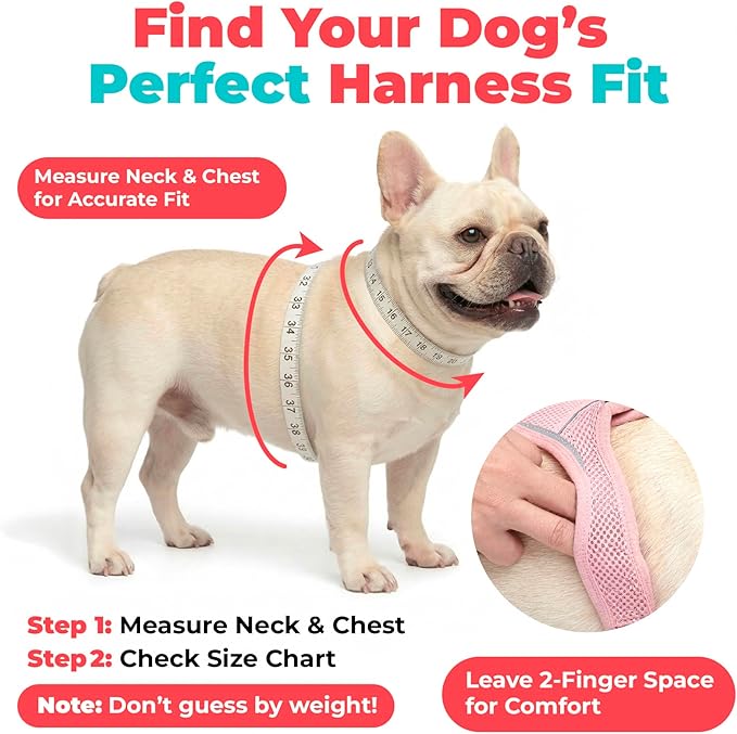 Voyager Step-in Air Dog Vest Harness - Khaki, Small | 14.5-16" in Chest, Reflective Bands, All Weather Breathable Air Mesh, Cats Compatible, Lightweight, Fast Drying