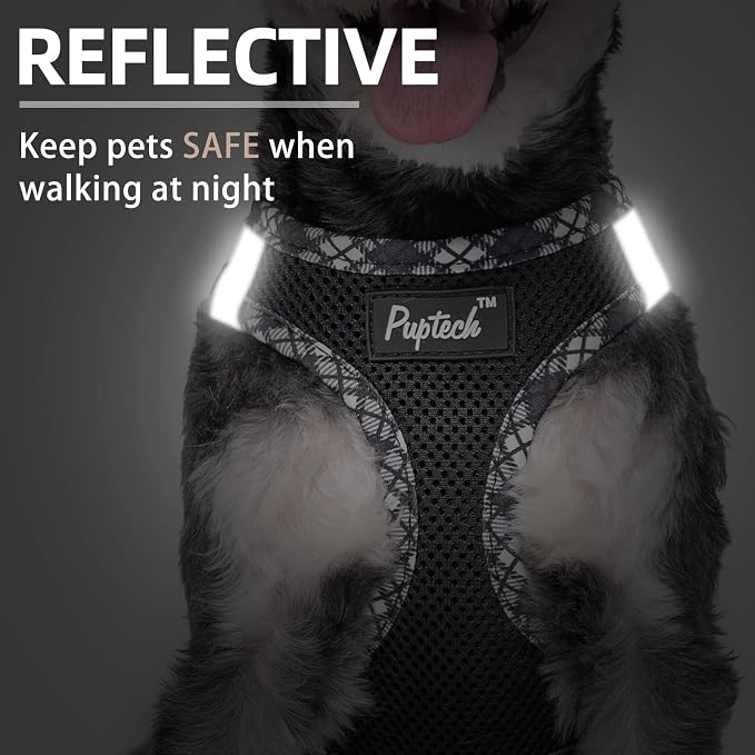 PUPTECK Dog Harness and Leash Set for Small Medium Dogs No Pull Step-in Soft Mesh Puppy Cat Vest Harnesses Reflective at Night, Black XS