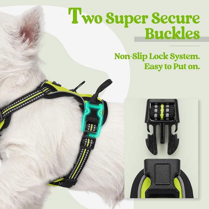 rabbitgoo Dog Harness No Pull with 2 Leash Clips, Adjustable Soft Padded, Reflective Oxford No Choke Pet Vest with Easy Control Handle for Puppy, Green, XS | No Choke with Handle, Adjustable Soft Padded, Reflective, Easy Control for Walking, Wild Lime,...