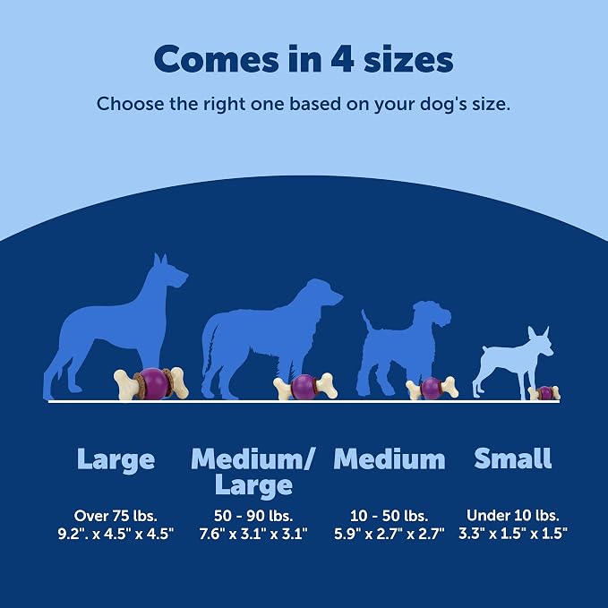 PetSafe Busy Buddy Bouncy Bone Treat Holding Dog Chew Toy, Small | Relieves Boredom and Anxiety, 6 Rawhide Treat Rings Included, Top-Rack Dishwasher Safe, Best for Dogs up to 10 Lb