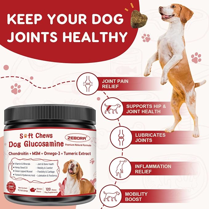 Probiotics for Dogs Bundle with Glucosamine for Dogs
