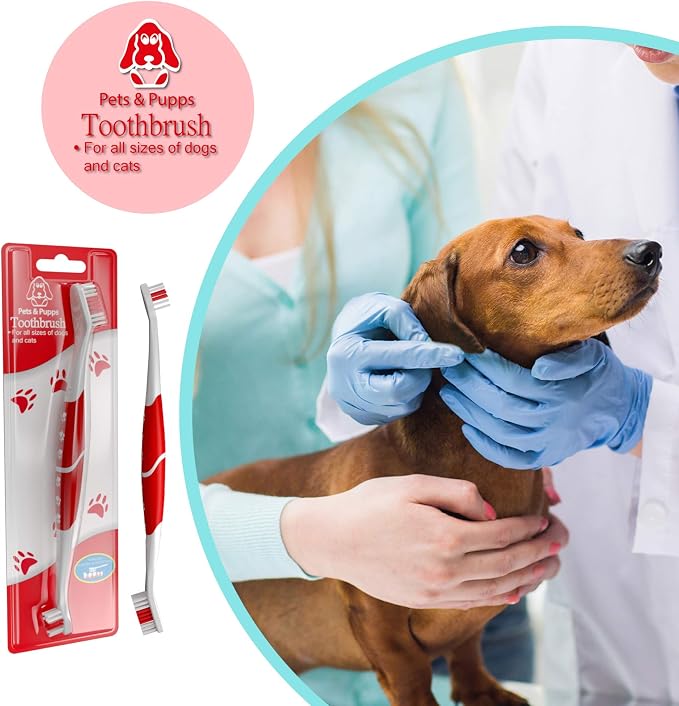 Pet Toothbrush for Dogs, Cats with Soft Bristles - Easy Teeth Cleaning & Dental Care, Non Slip Dual Head Dog Toothbrush for Medium & Large Pets, Toothpaste Not Included, Pack of 4 Red