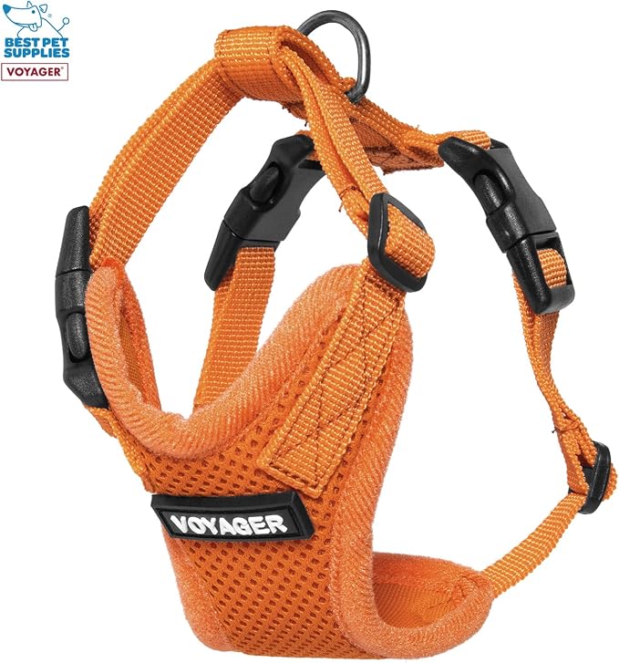 Best Pet Supplies Voyager Step-in Lock Pet Harness w Reflective Pet Leash Combo Set with Neoprene Handle 5ft - Supports Small, Medium and Large Breed Puppies/Cats - Orange, XXS