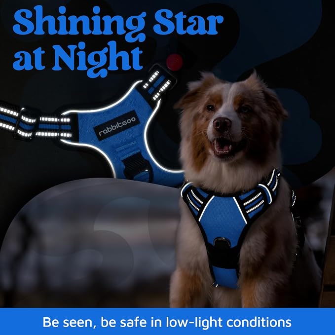 rabbitgoo Dog Harness for Large, No Pull 3 Buckles Easy On & Off | Soft Padded, Walking with Control Handle, Adjustable and Reflective, Blue, X-Large
