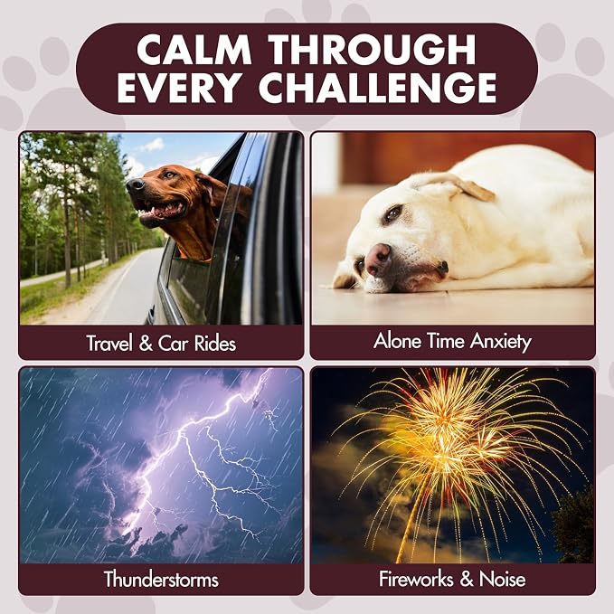 Неmр Calming Chews for Dogs, 180 Chews