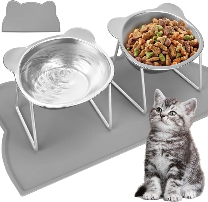 Elevated Cat Bowls, 2 Pack Raised Cat Food Water Bowls with Non-Slip Placemat, 15° Tilted Stand Anti Vomiting Stainless Steel Pet Food Feeding Dishes Plate for Cats Kitten Puppies Dogs Small Animals